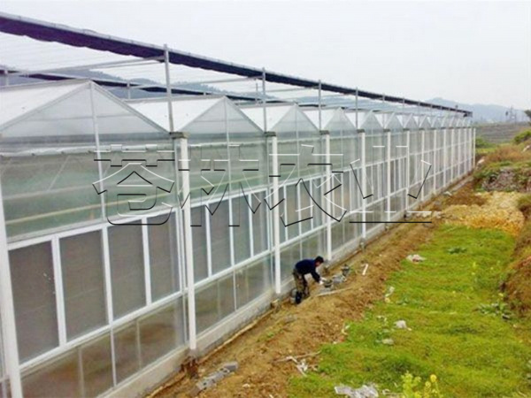 pc日光板温室 (4)