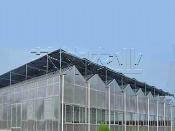 pc日光板温室 (3)
