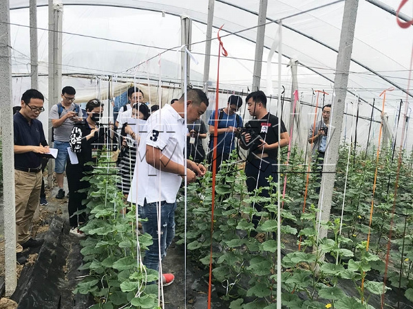 春秋拱棚、保温拱棚温室