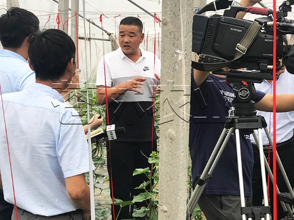 春秋拱棚、保温拱棚温室