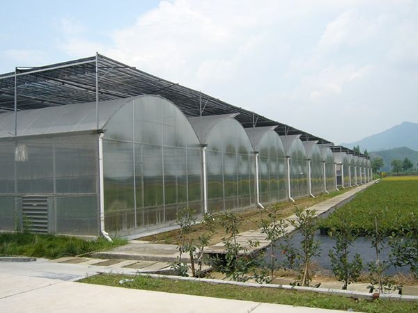 阳光板温室 (6)