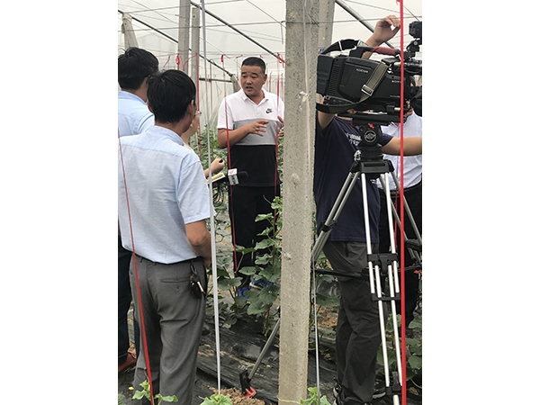 微信图片_20190806100046